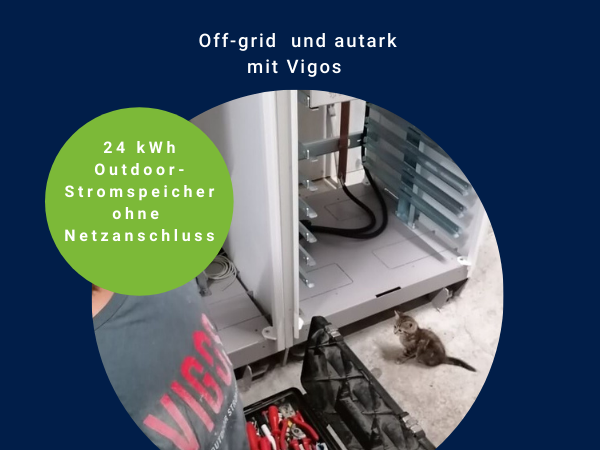 Katze beobachtet Vigos Installation